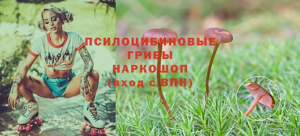 соль курить ск Зеленодольск