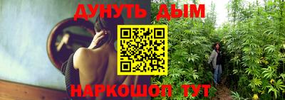 сатива Пушкино