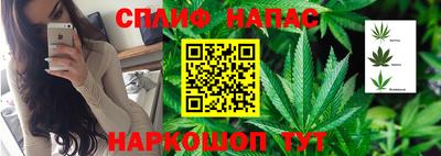 сатива Пушкино