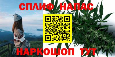 герыч Пугачёв