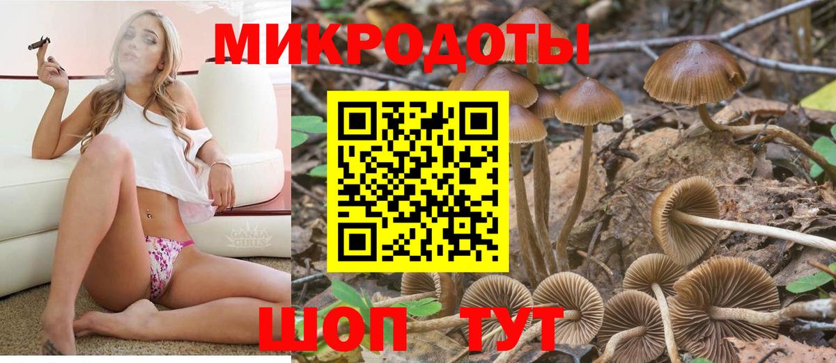 Сызрань  Галлюциногенные грибы ЛСД  Вход с VPN 