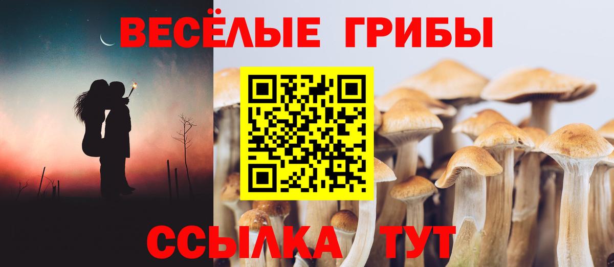 Псилоцибиновые грибы мицелий Сызрань