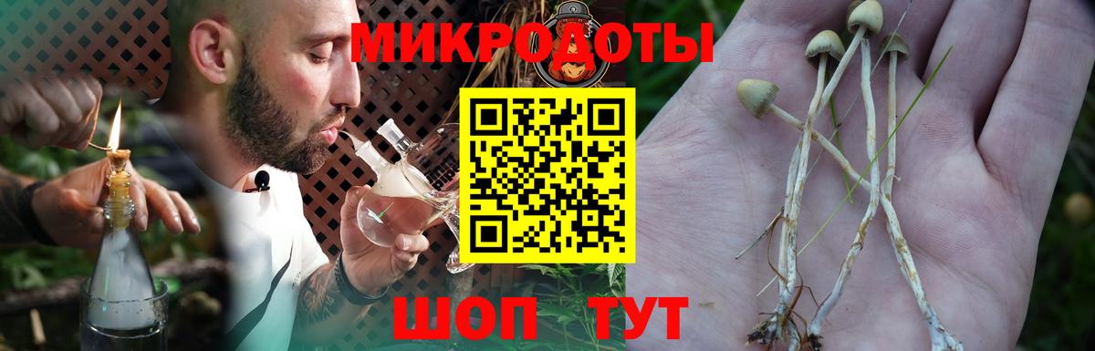 Псилоцибиновые грибы мицелий  Вход с VPN  Сызрань 